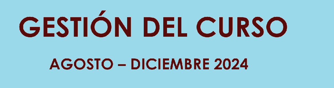 Gestión del Curso Agosto-Diciembre 2024 copia 2