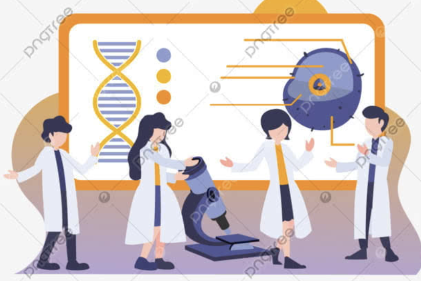 Taller de Investigación I 2026