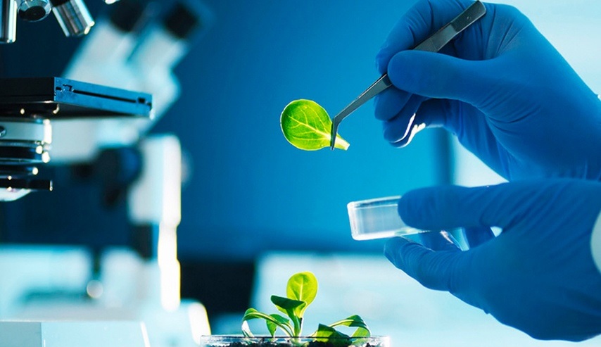 1 Sem Ambiental - Fundamentos de Investigación 2026