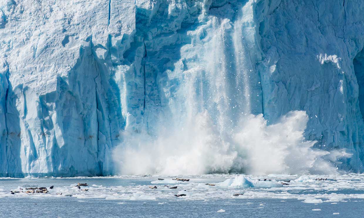 Cambio Climático y Sustentabilidad